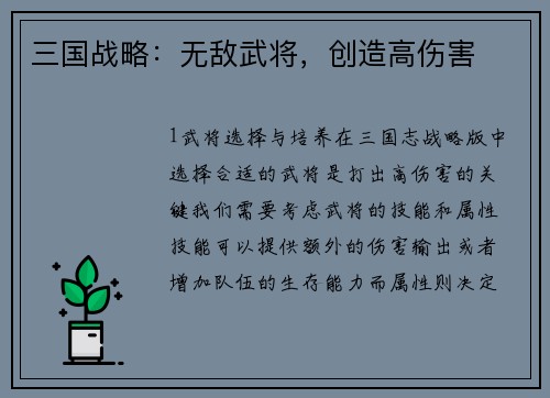 三国战略：无敌武将，创造高伤害